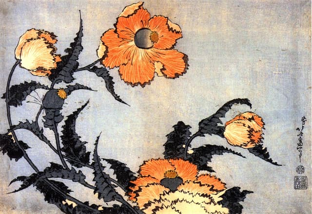Poppies, Katsushika Hokusai