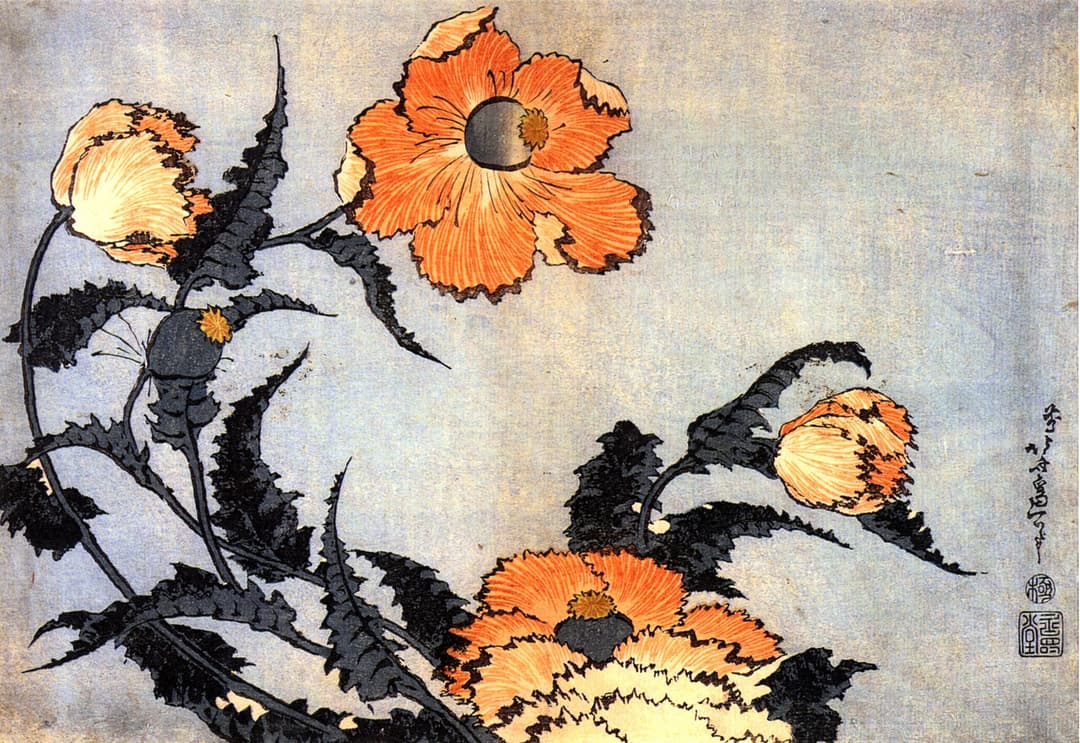 Poppies, Katsushika Hokusai